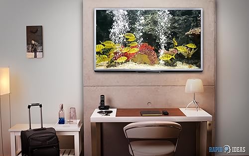 aquário pacífico gratuito HD - decore seu quarto com um belo aquário de vida marinha na sua TV HDR 4