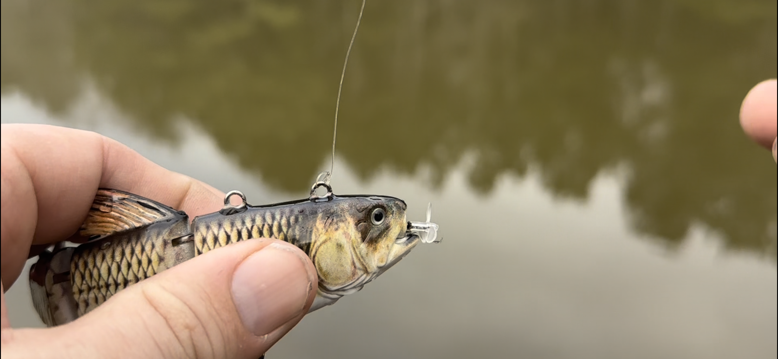 Watch Testing, Fishing, & Review of Robot Fishing Lure From Whatalure on Amazon Live