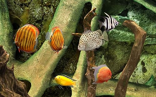 MyLake 3D Aquarium