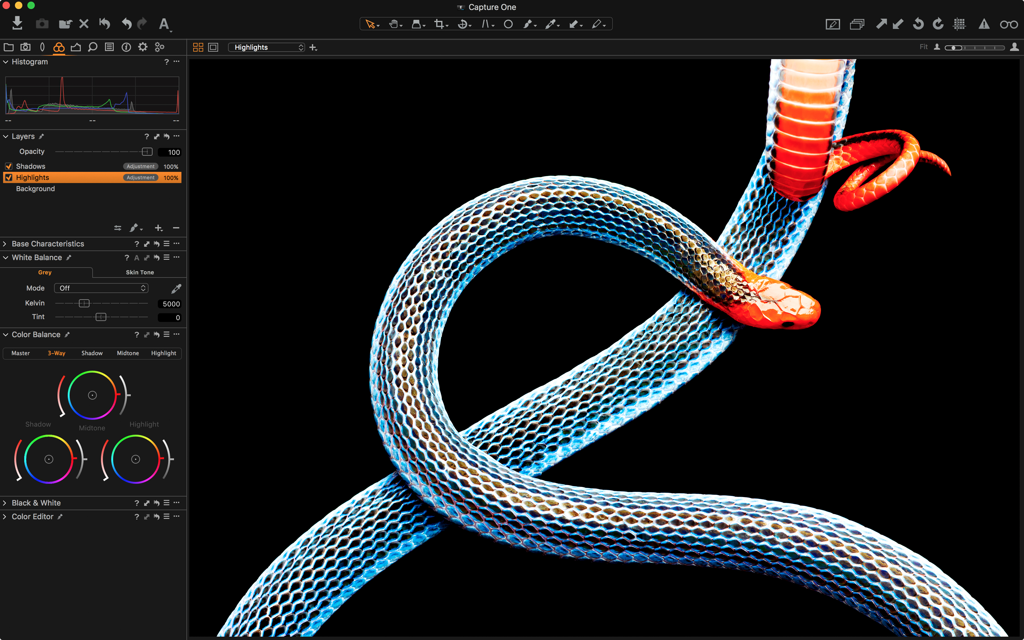 Capture One 11 Logiciel d’édition photo | Mono utilisateur, 3 postes | Mac [Téléchargement]