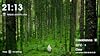 TV Ambient Experience: Screensaver for Tablets & TV #4
