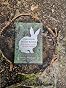 Operation White Rabbit: LSD, the DEA, and the Fate of the Acid King ...