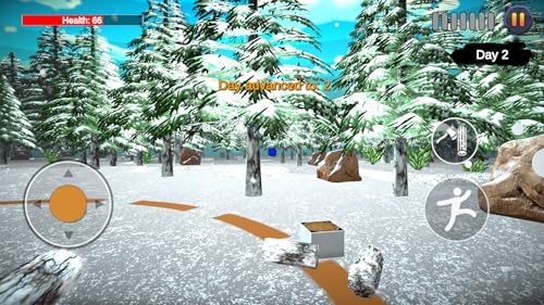 Survival nights snow forest