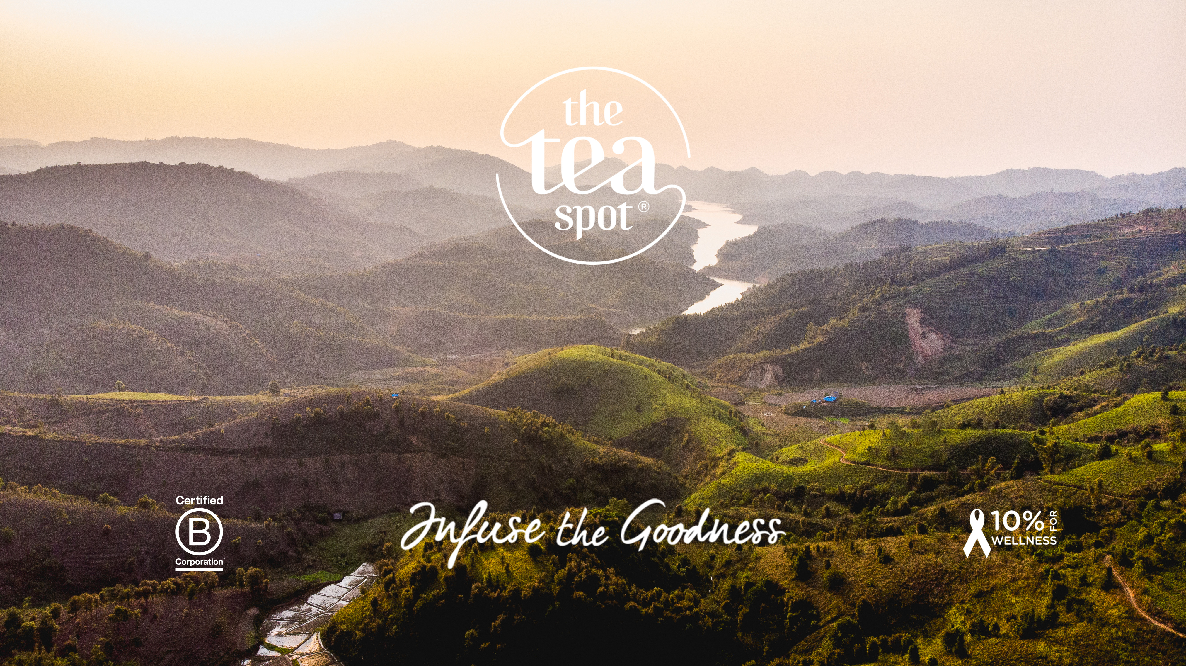 The Tea Spot Mountain Tea Tumbler - Travel Bottle with Tea Infuser for Loose Leaf Tea or Iced Coffee - 16oz, Sunset Red… - Image 7