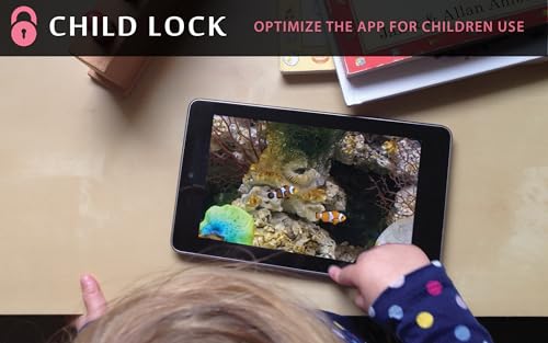 free clown fish aquarium HD - decore seu quarto com um lindo aquário em sua TV HDR 4K, TV 8K e dispo