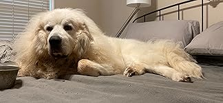 Review Image by Sarah M Sarah M