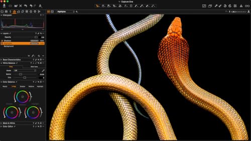 Capture One 11 Sony Logiciel d’édition photo | Mono utilisateur, 2 postes | Mac [Téléchargement] – vue 3
