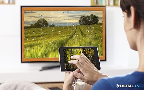 terra chuvosa verde grátis HD - aprecie a bela paisagem na sua TV HDR 4K, TV 8K e dispositivos de fo