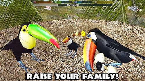 Ultimate Bird Simulator