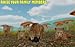Wild Jaguar Family Simulator
