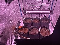 Review Image by Amazon Customer Amazon Customer