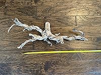 Review Image by Taylor Taylor