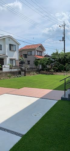 一年中美しい 家庭で楽しむ芝生づくり12か月 | 武井 和久 |本 | 通販