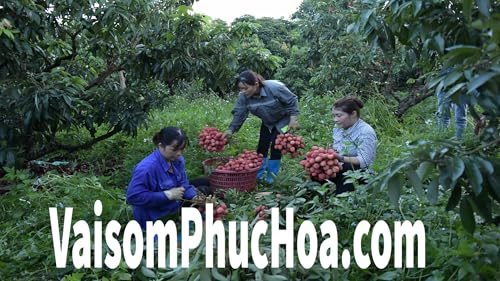 Vai thieu Luc Ngan