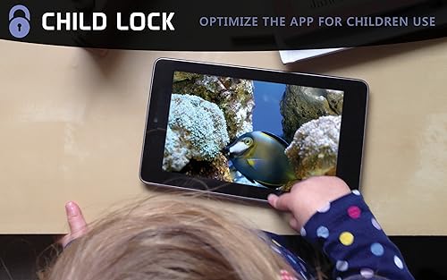 aquário romântico grátis HD - decore seu quarto com um lindo aquário em sua TV HDR 4K, TV 8K e dispo