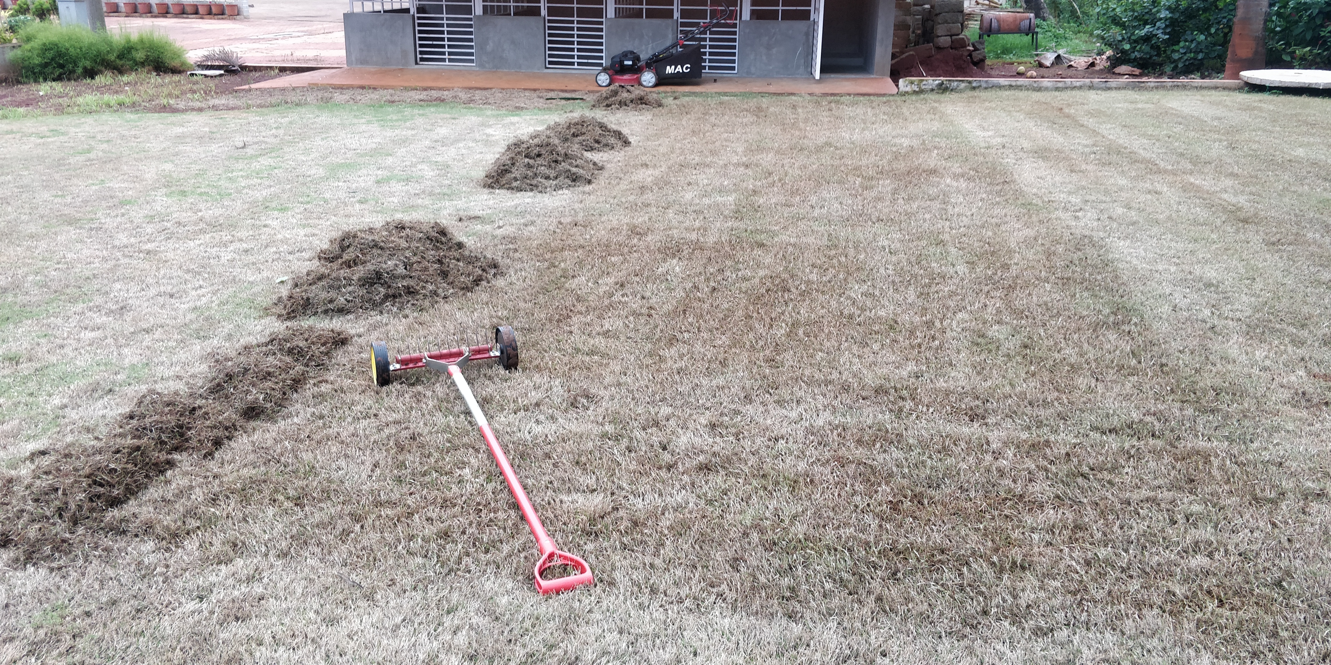 Wolf Garten 71Aaa036650 Scarifying Roller Rake Without Handle : Amazon ...