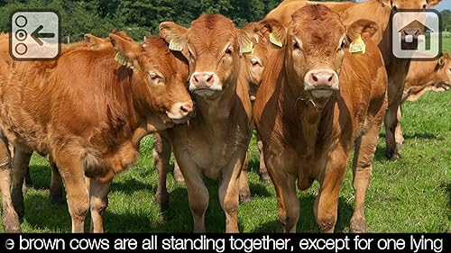 Free 100 Farm Animals