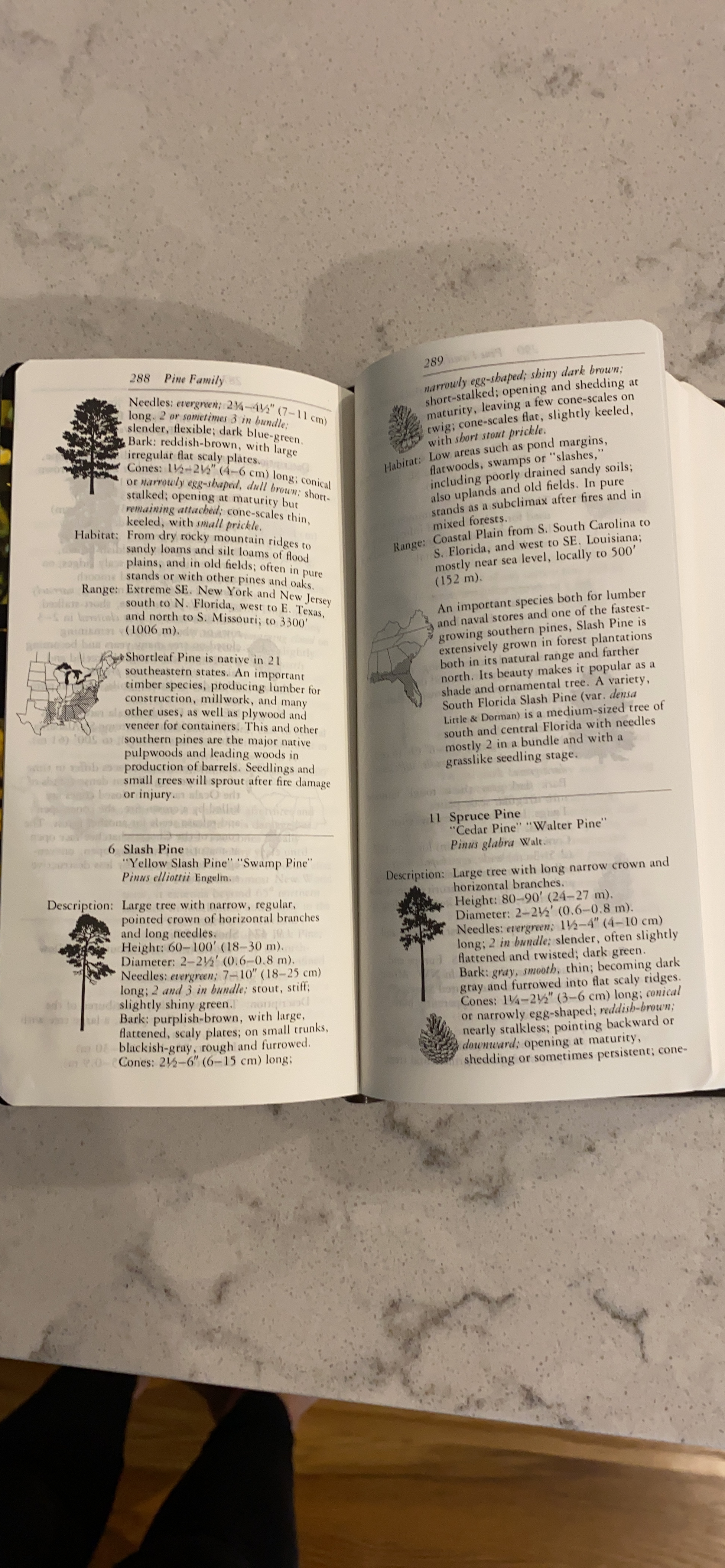 Beautiful field guide!!!