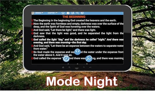 Holy Bible (NVI) New International Version 1984