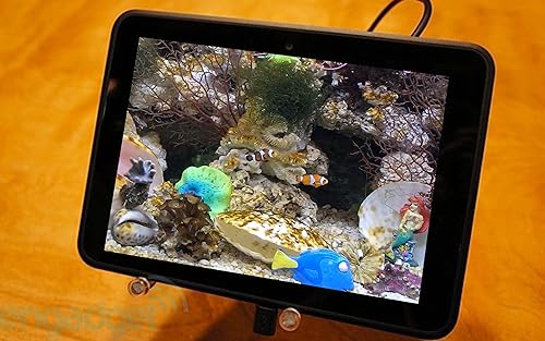 free clown fish aquarium HD - decore seu quarto com um lindo aquário em sua TV HDR 4K, TV 8K e dispo