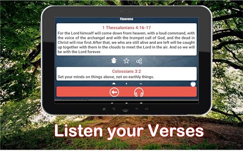 Holy Bible (NVI) New International Version 1984