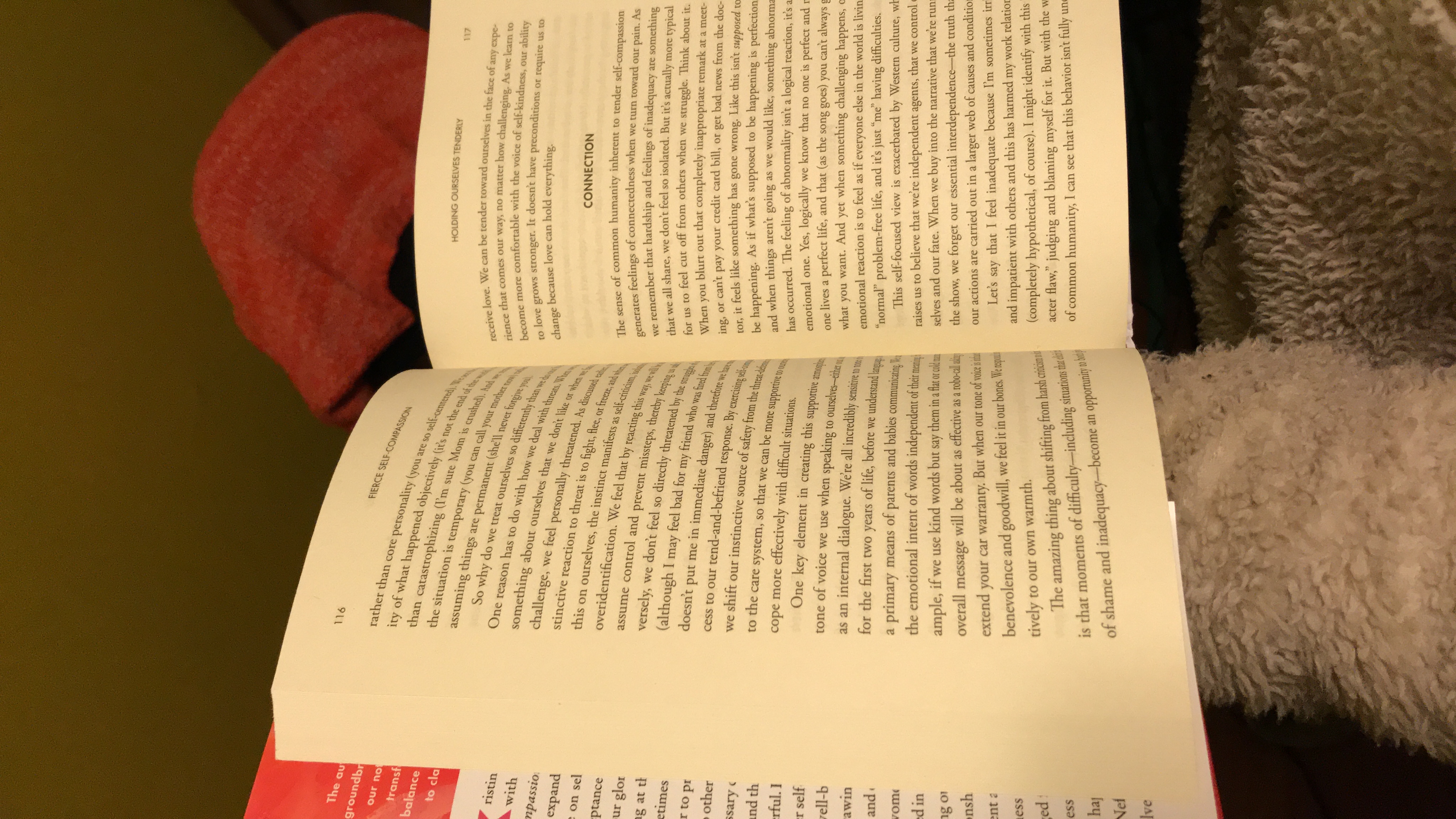 Entrega muy puntual. El libro está en excelentes condiciones.