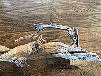 Review Image by Taylor Taylor