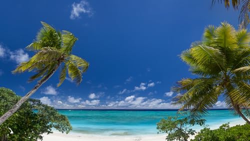 Nature Relaxation On Demand