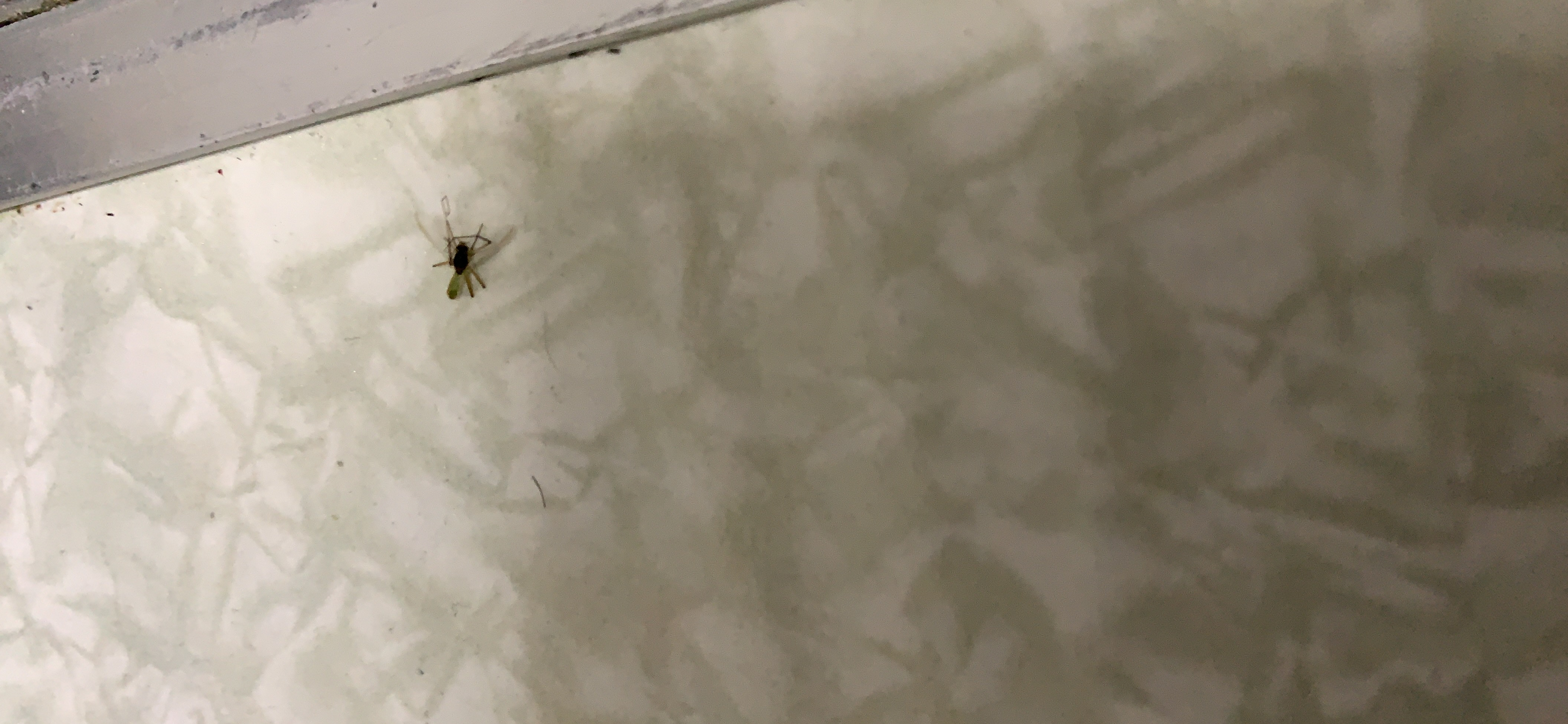 お客様イメージ