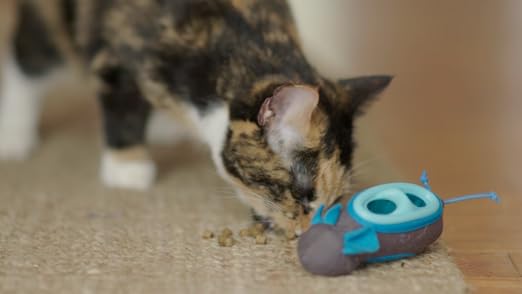 mouse shaped cat feeder