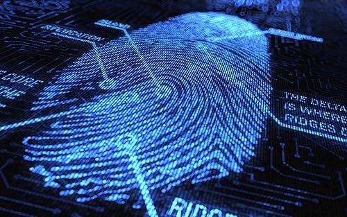 Smart Or Stupid Scanner