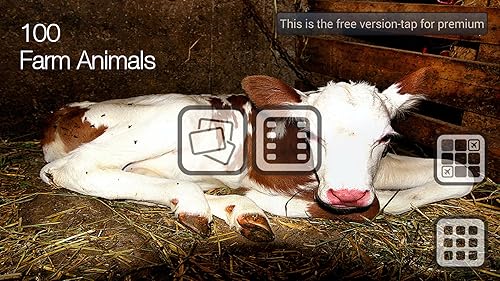 Free 100 Farm Animals