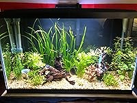 Review Image by Truman Galmeister Truman Galmeister