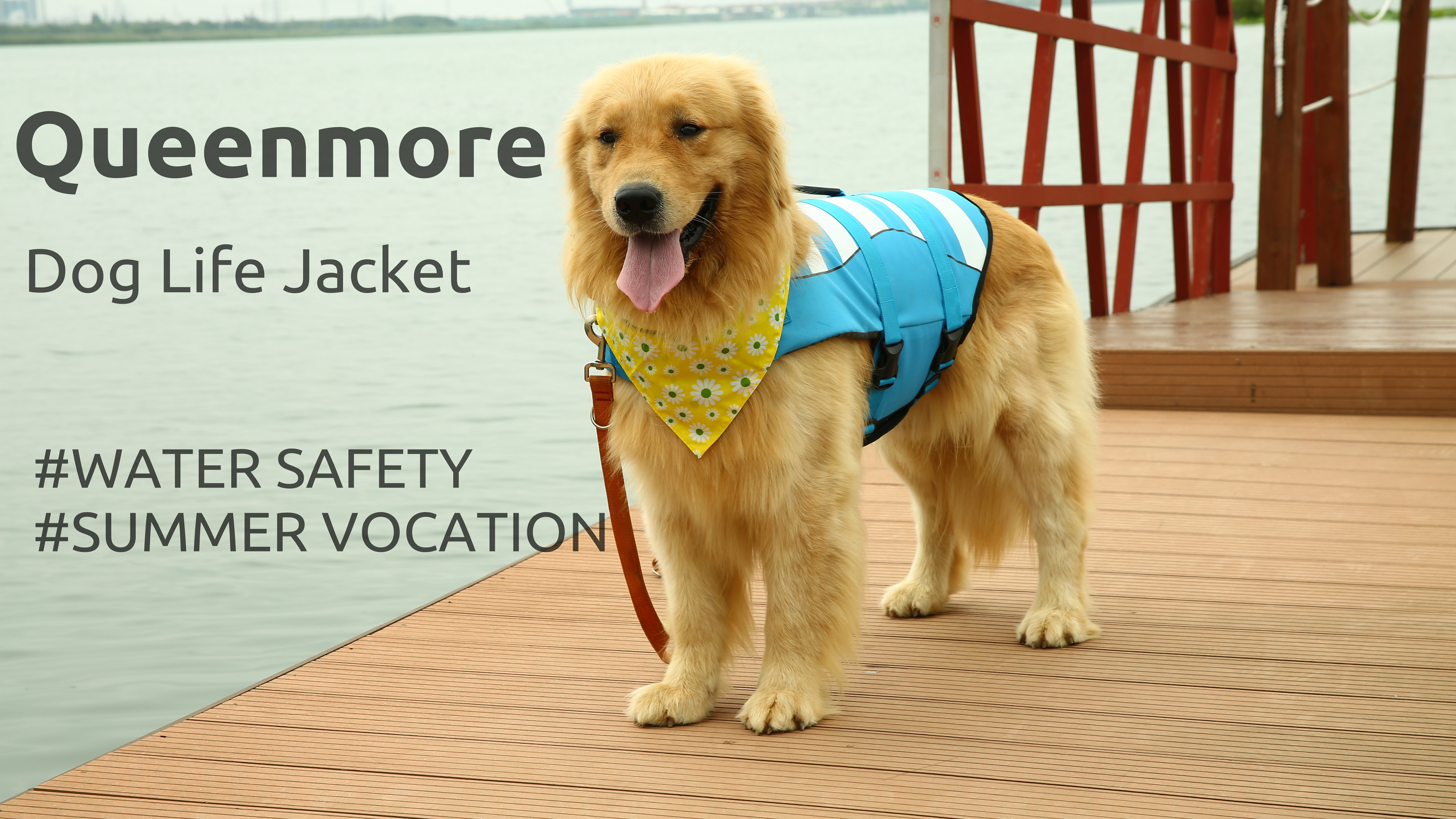 Queenmore Dog Life Jacket Adjustable Rip-Stop Dog Life Vests for Water Safety pet Life Vest with Rescue Handle Safety… - Image 8