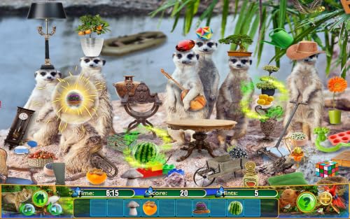Hidden Objects Animal Kingdom – Worldwide Animals Seek & Find Object Puzzle Photo Pic Travel Adventure Time & Spot The Difference Game #TOP4