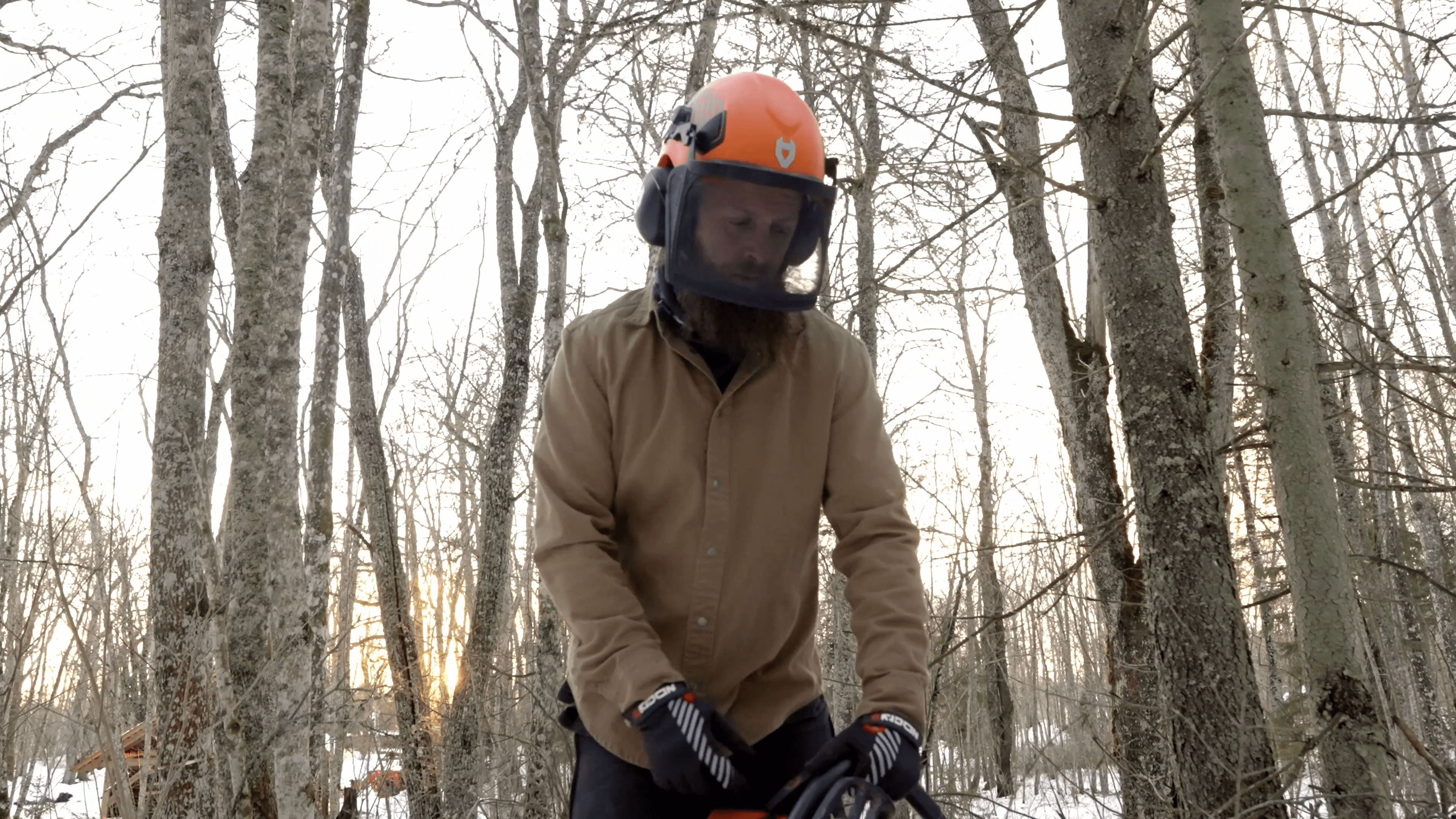 Amazon.com: NoCry ANSI Z89.1 Rated Arborist Helmet — Chainsaw