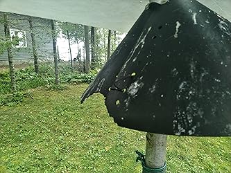 Déflecteur D'écureuil Enveloppant, Déflecteurs De Protection