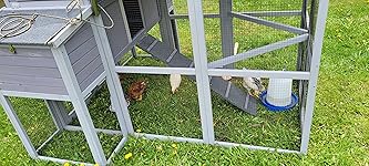 Review Image by Lady ro Lady ro