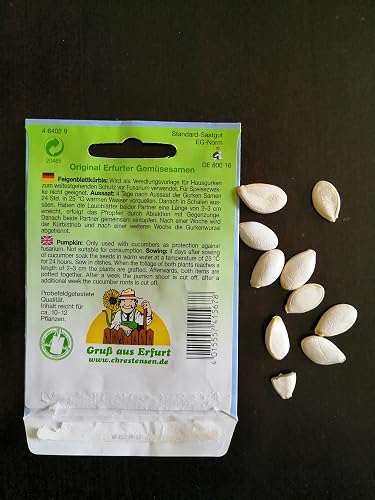 hokkaido krbis saatgut BIO Krbis Samen (Hokkaido)