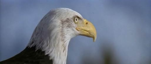 पोस्टर देखें