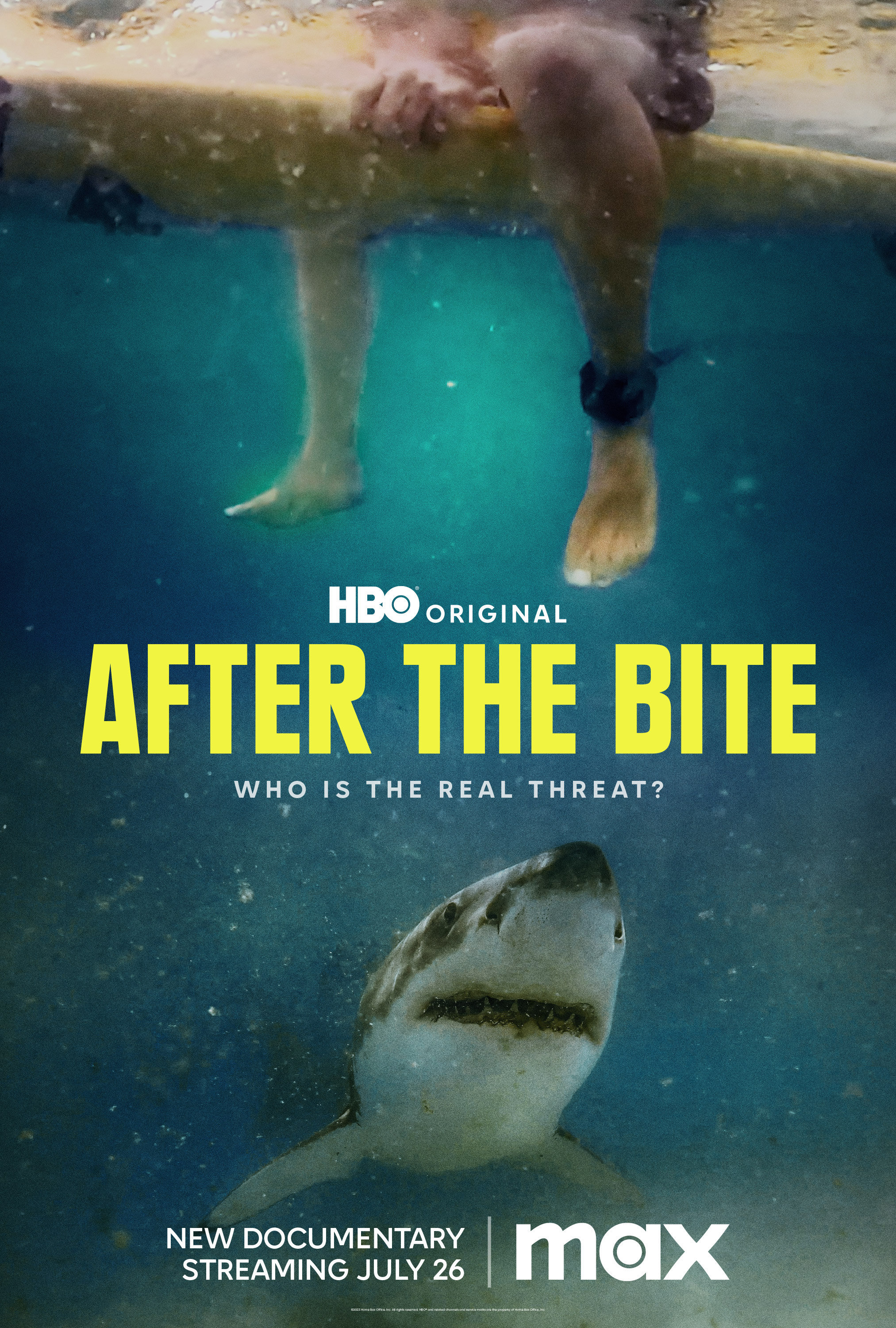 Poster of After the Bite