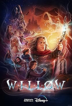 Poster of Willow
