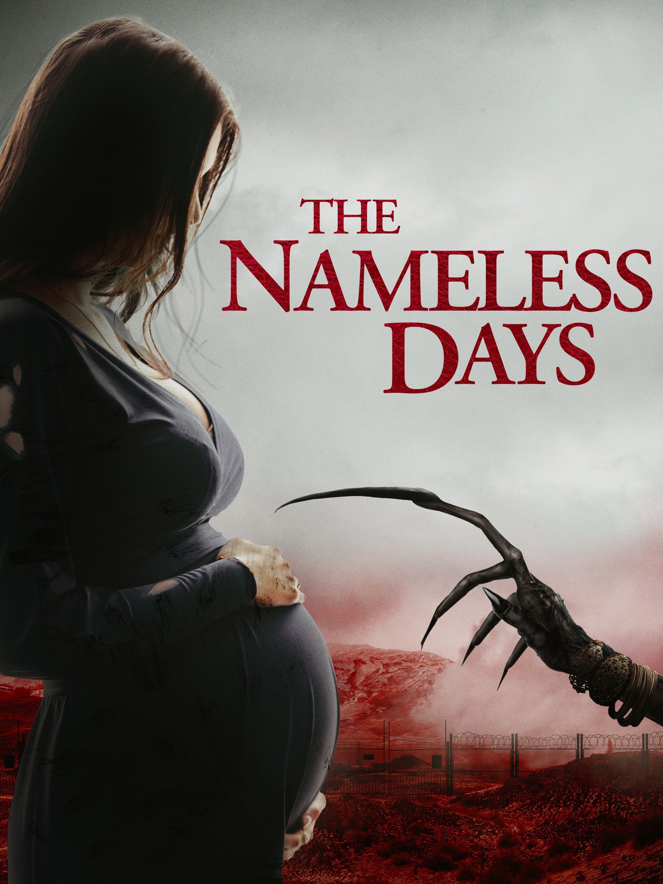 Poster of The Nameless Days