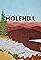 Molehill's primary photo