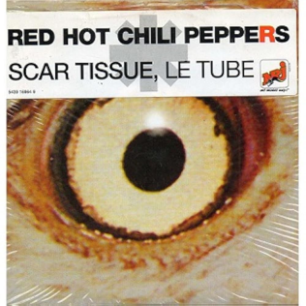 Red Hot Chili Peppers: Scar Tissue (Music Video 1999) - IMDb