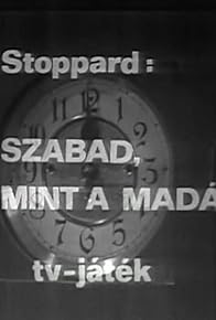 Primary photo for Szabad, mint a madár Primary photo for Szabad, mint a madár