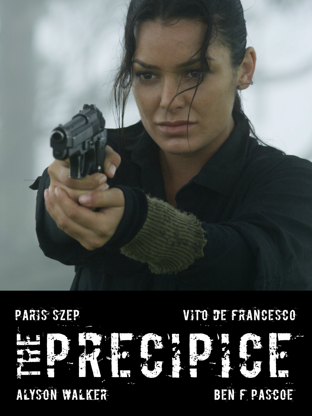Poster of The Precipice
