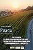 Primary photo for Unexpected Peace