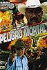 Primary photo for Peligro Mortal Primary photo for Peligro Mortal