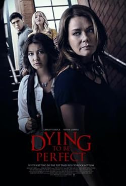 Poster of The Price of Perfection